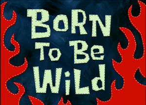 File:Born To Be Wild.jpg