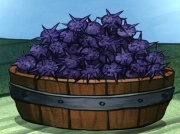 120a Seeigel.jpg