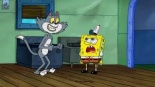 Kenny the Cat.jpg