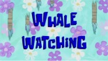 Whalewatching.jpg