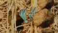 Thumbnail for version as of 22:06, 8 July 2010