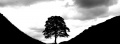 Thumbnail for version as of 22:58, 12 January 2013