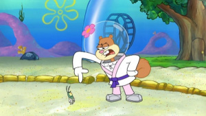 294a Image.jpg