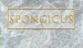 Spongicus.jpg