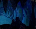 Thumbnail for version as of 22:13, 2 January 2011