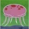 Jellyfish.jpg